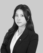 민사 변호사 김은아