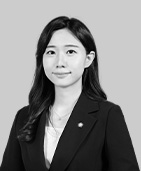 민사 변호사 문은정